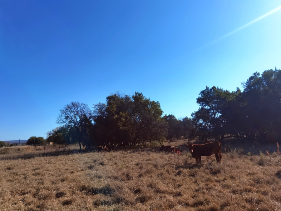 Commercial Property for Sale in Koster North West